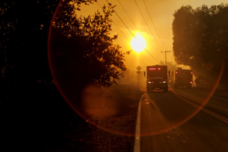 wildfire