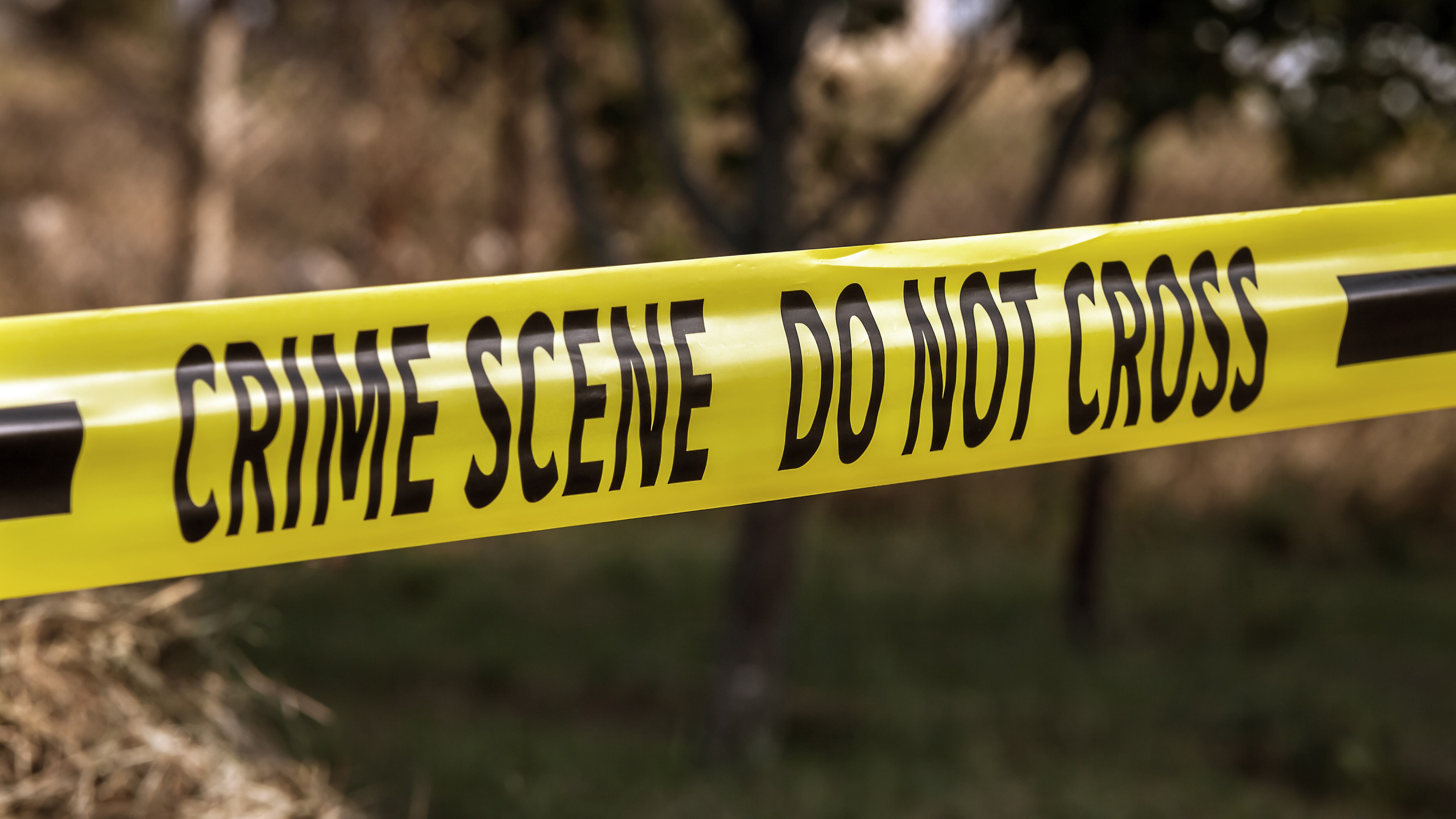 Wooded crime scene
