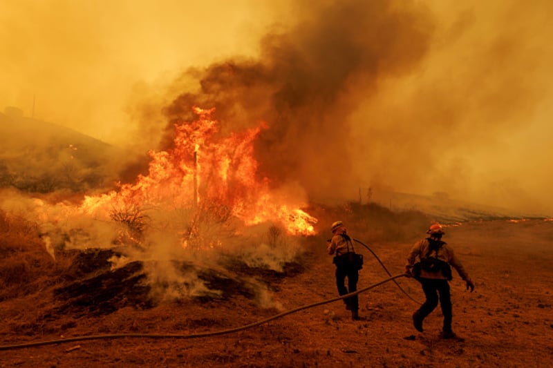 wildfire